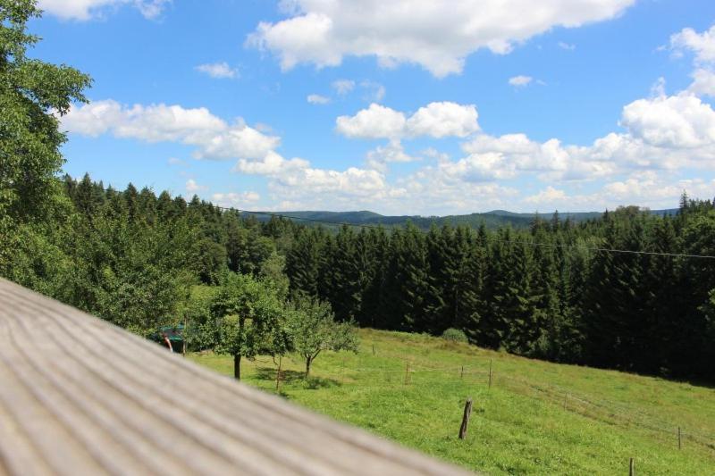 Sigmundenhof Apartment Schonach im Schwarzwald Bagian luar foto